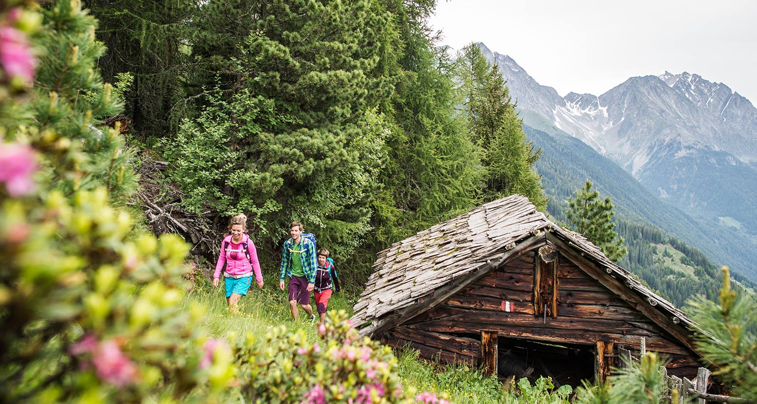 Wanderer auf einer Alm mit Holzhütte im Hintergrund